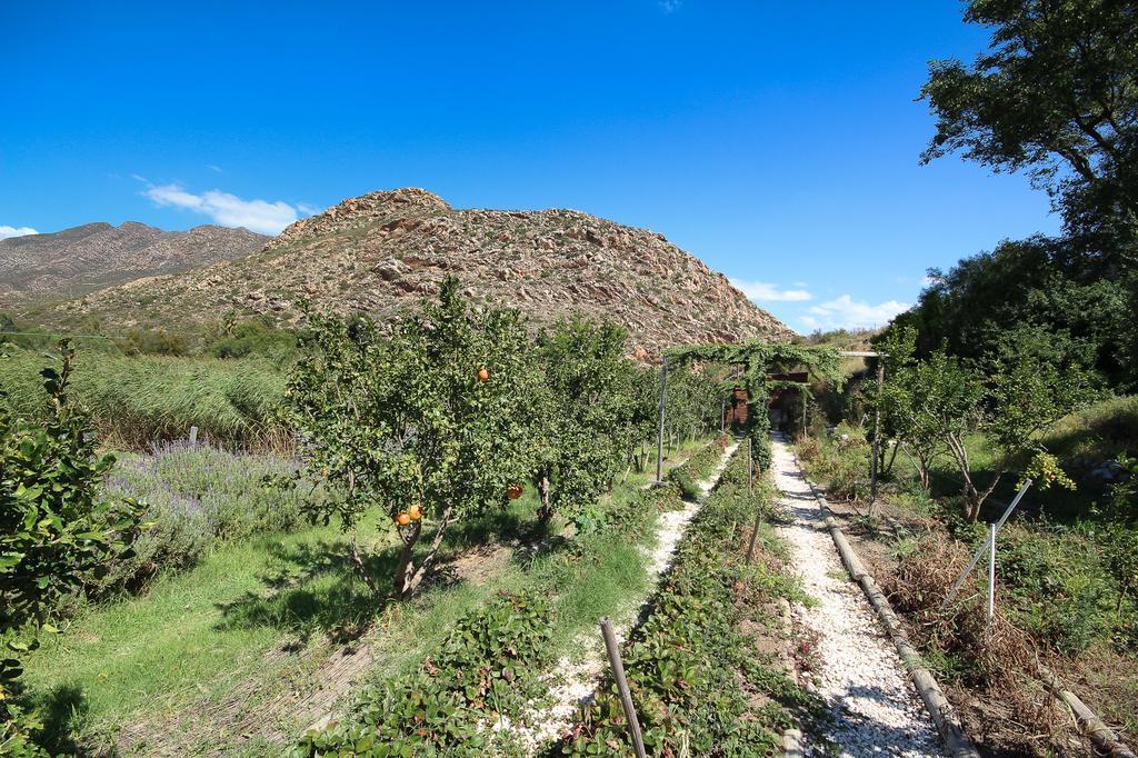 Kogman & Keisie Guest Farm Villa Montagu Dış mekan fotoğraf
